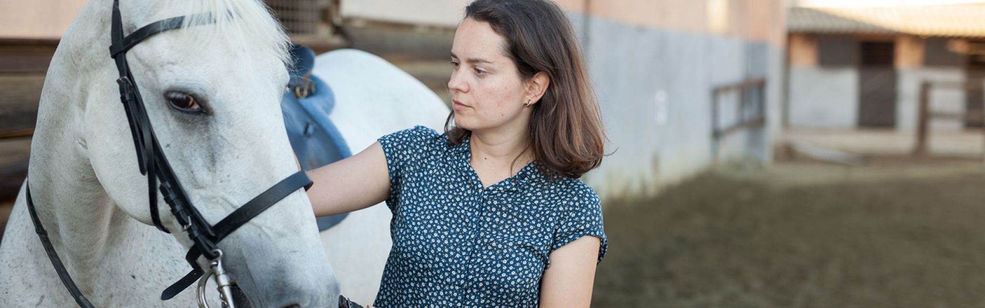 Collaboration « One Health » sur une bactérie multirésistante aux antibiotiques chez les chevaux